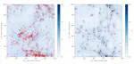 How do Primordial Black Holes change the Halo Mass Function and Structure?